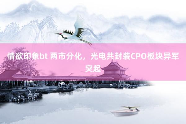 情欲印象bt 两市分化，光电共封装CPO板块异军突起