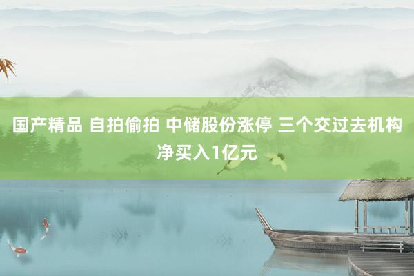 国产精品 自拍偷拍 中储股份涨停 三个交过去机构净买入1亿元