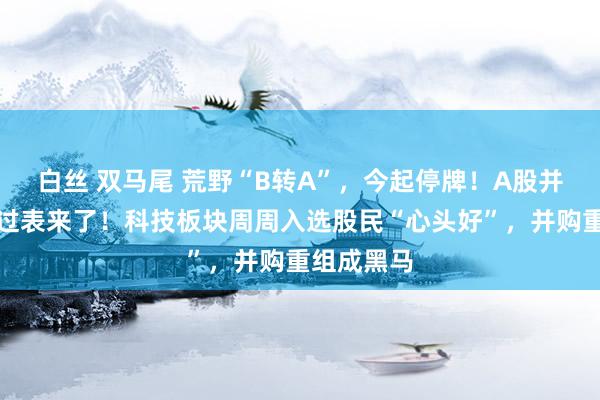 白丝 双马尾 荒野“B转A”，今起停牌！A股并购重组经过表来了！科技板块周周入选股民“心头好”，并购重组成黑马