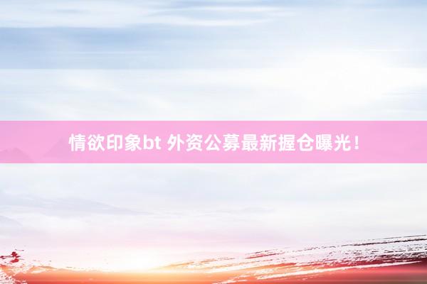 情欲印象bt 外资公募最新握仓曝光！
