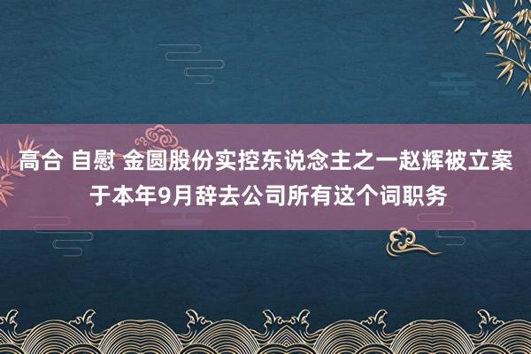 高合 自慰 金圆股份实控东说念主之一赵辉被立案 于本年9月辞去公司所有这个词职务