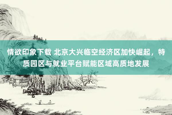 情欲印象下载 北京大兴临空经济区加快崛起，特质园区与就业平台赋能区域高质地发展