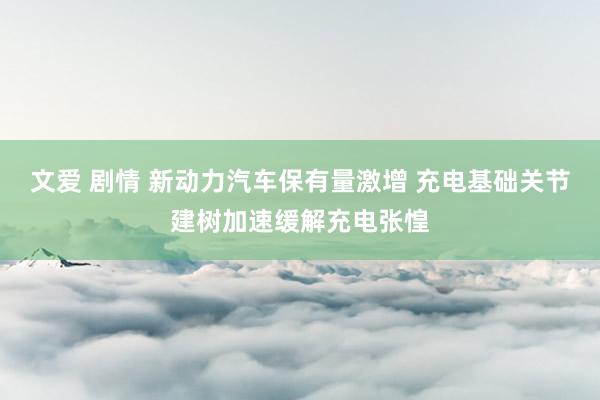文爱 剧情 新动力汽车保有量激增 充电基础关节建树加速缓解充电张惶