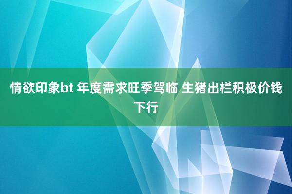 情欲印象bt 年度需求旺季驾临 生猪出栏积极价钱下行