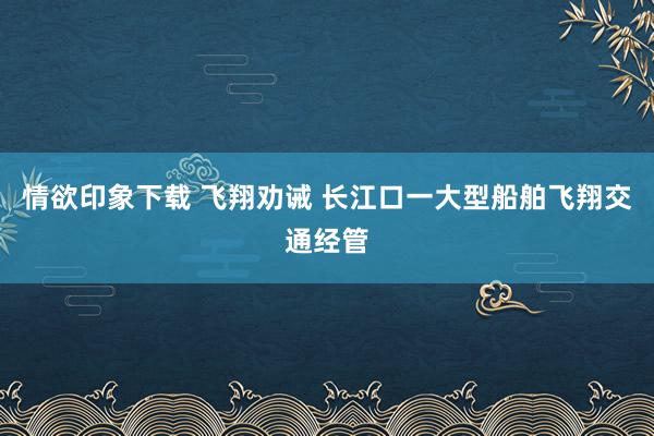 情欲印象下载 飞翔劝诫 长江口一大型船舶飞翔交通经管